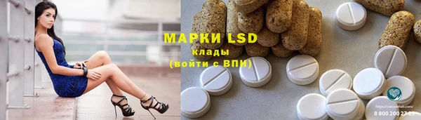 гашик Михайловск
