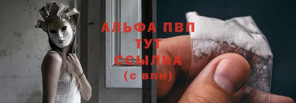 молекула духа Волоколамск