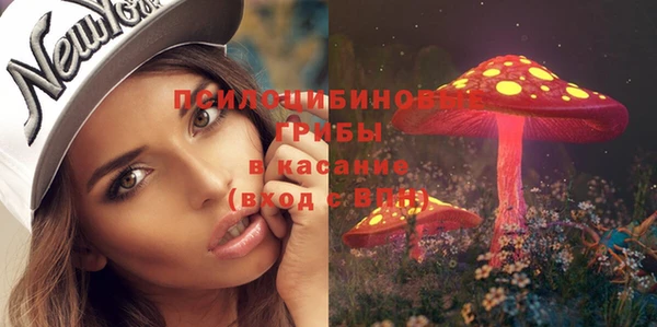 дурь Сосновоборск