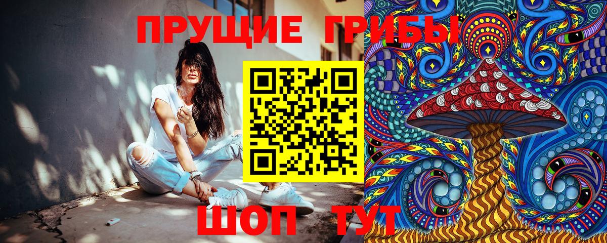 Псилоцибиновые грибы GOLDEN TEACHER Новозыбков