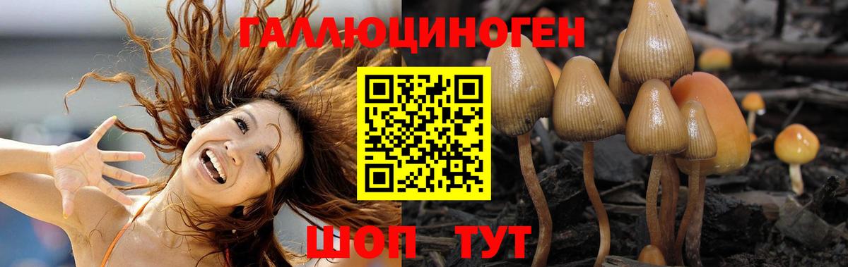 МЕТАДОН Новозыбков